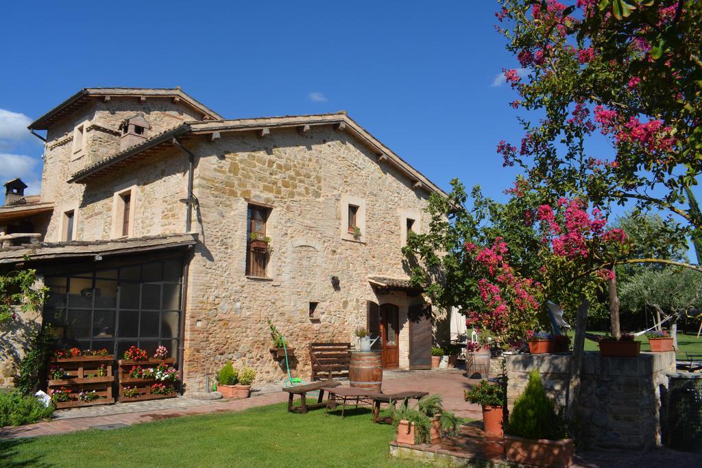 Rovicciano
